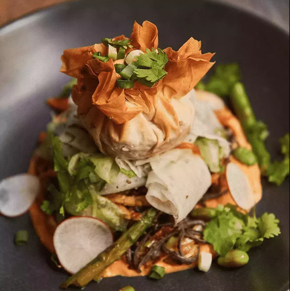 V Vegan Restoran In Europe