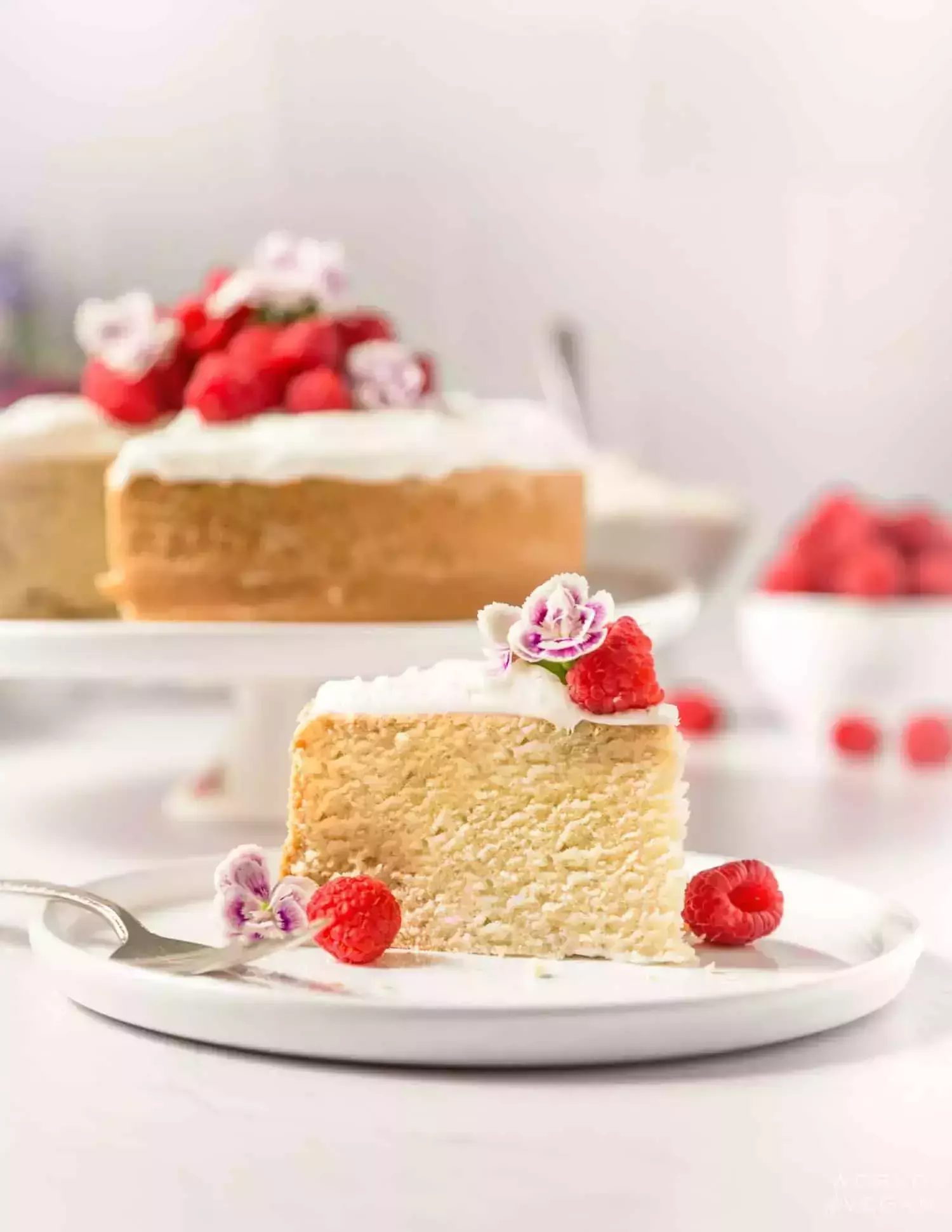 vegan and lacto-vegetarian Homemade Cake 