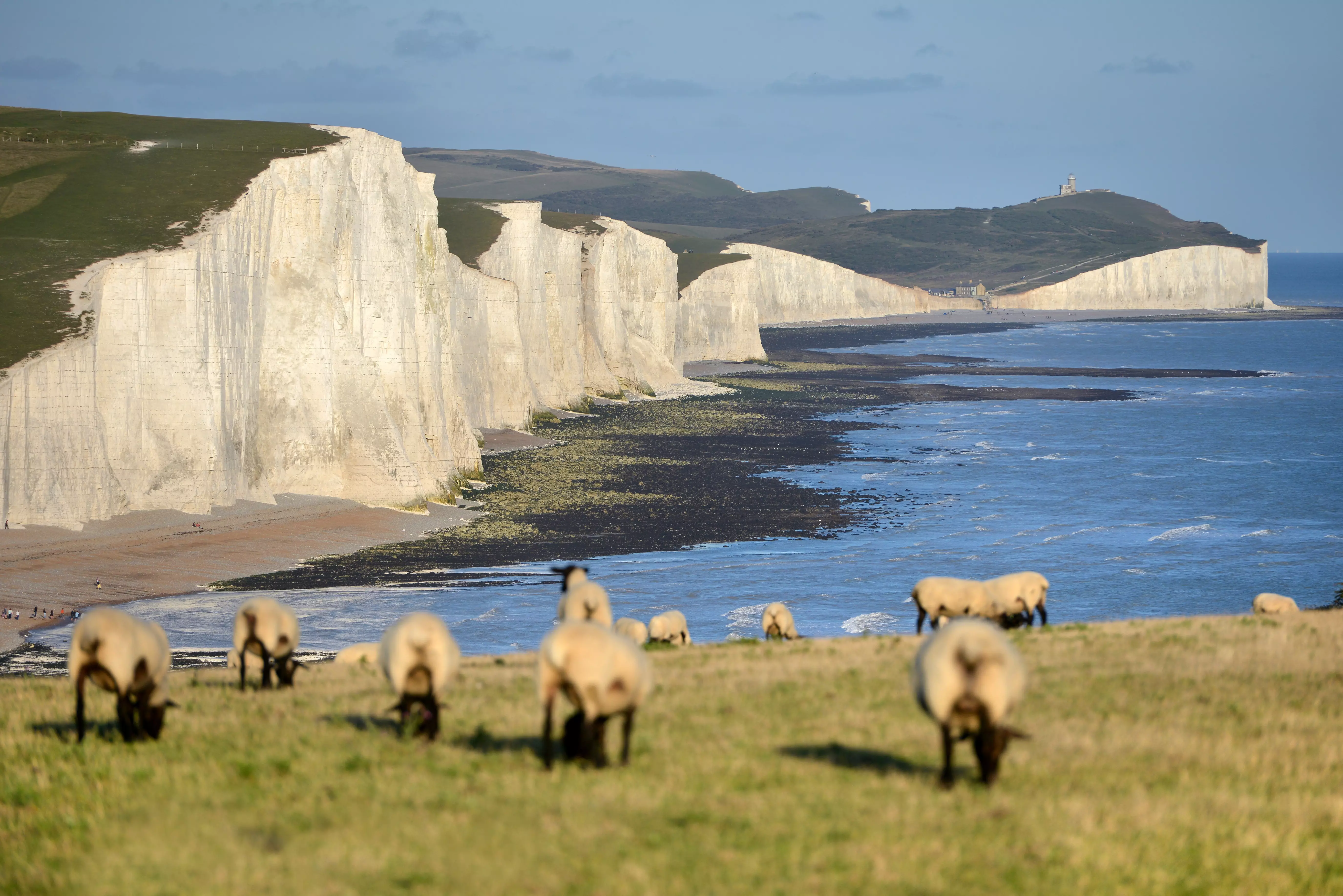 The stunning chalk-white cliffs of the Seven Sisters are an iconic view.