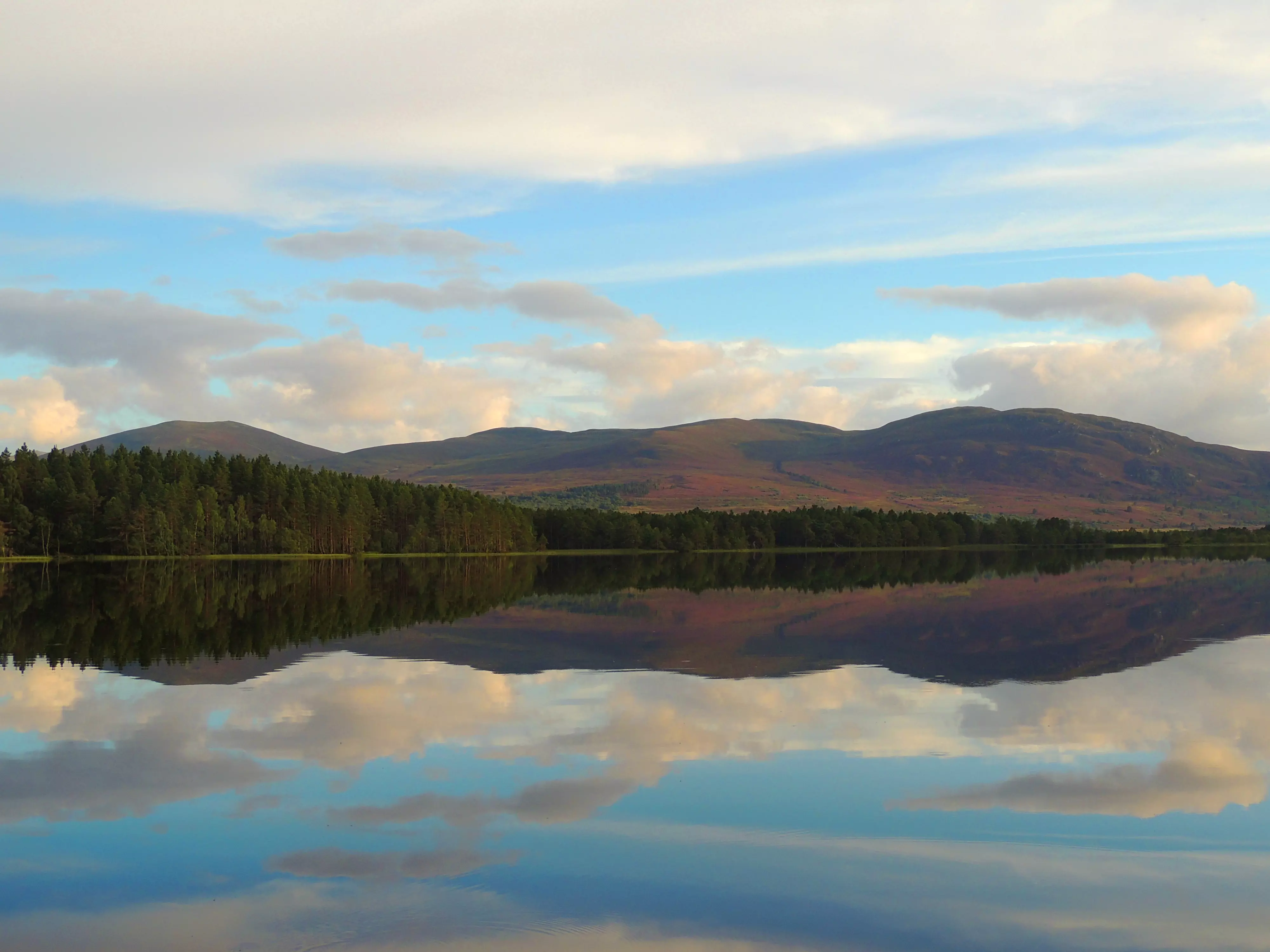 Loch Garten shows off the very best of the Cairngorms, Scotland.