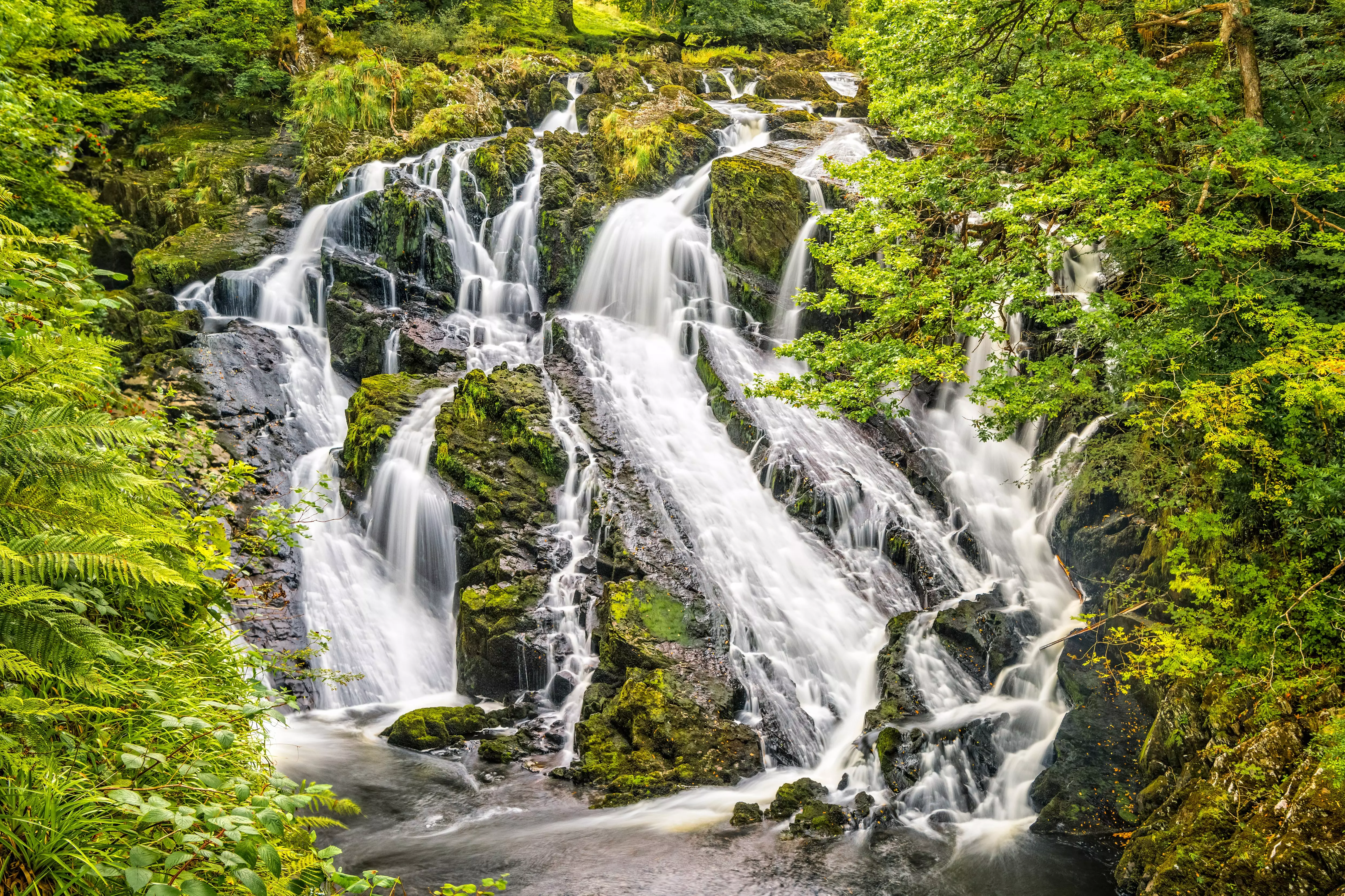 Swallow Falls, Wales, is a stunning waterfall in Snowdonia.