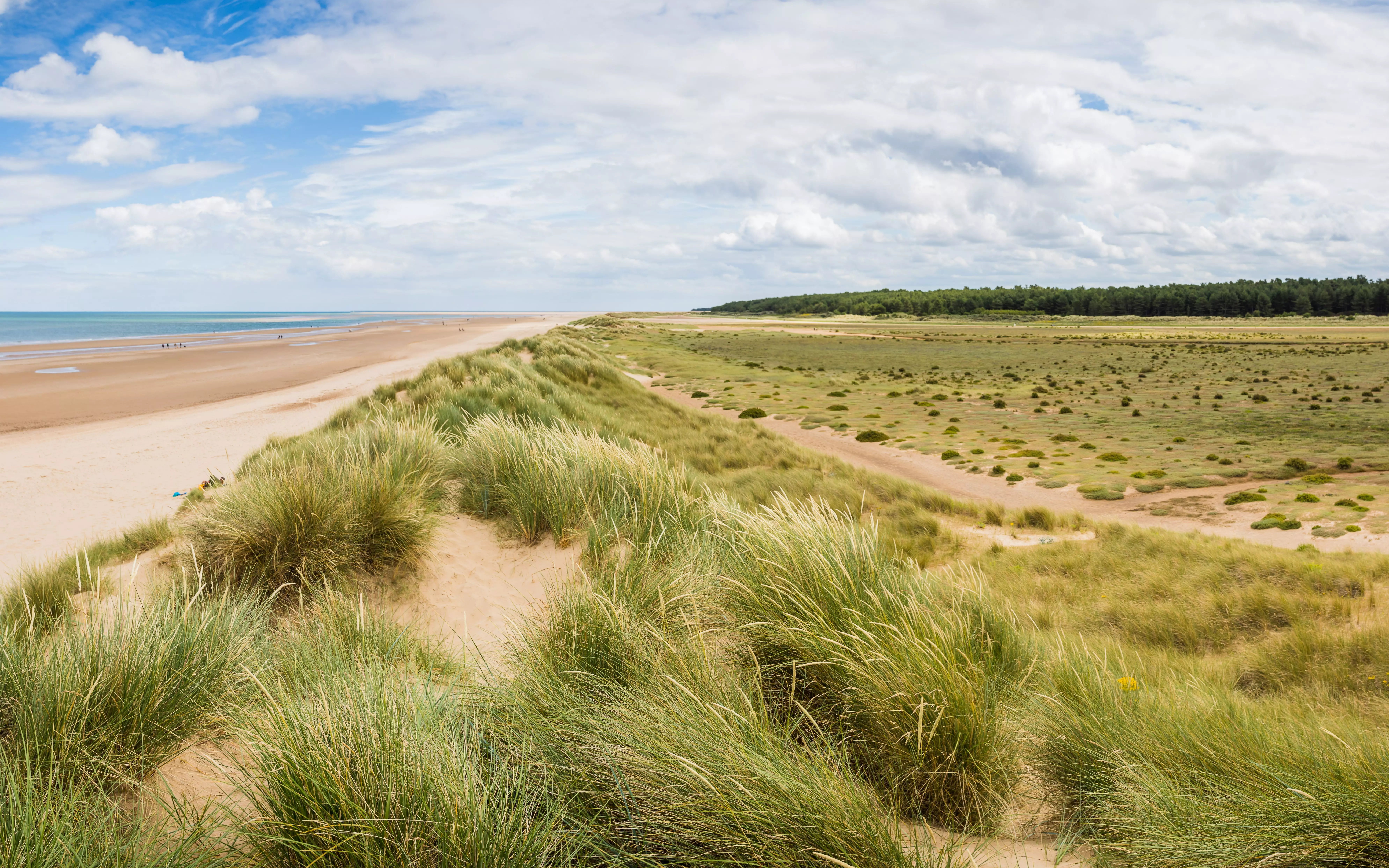 Visit Holkham Beach in Norfolk for pure, unspoiled beauty.