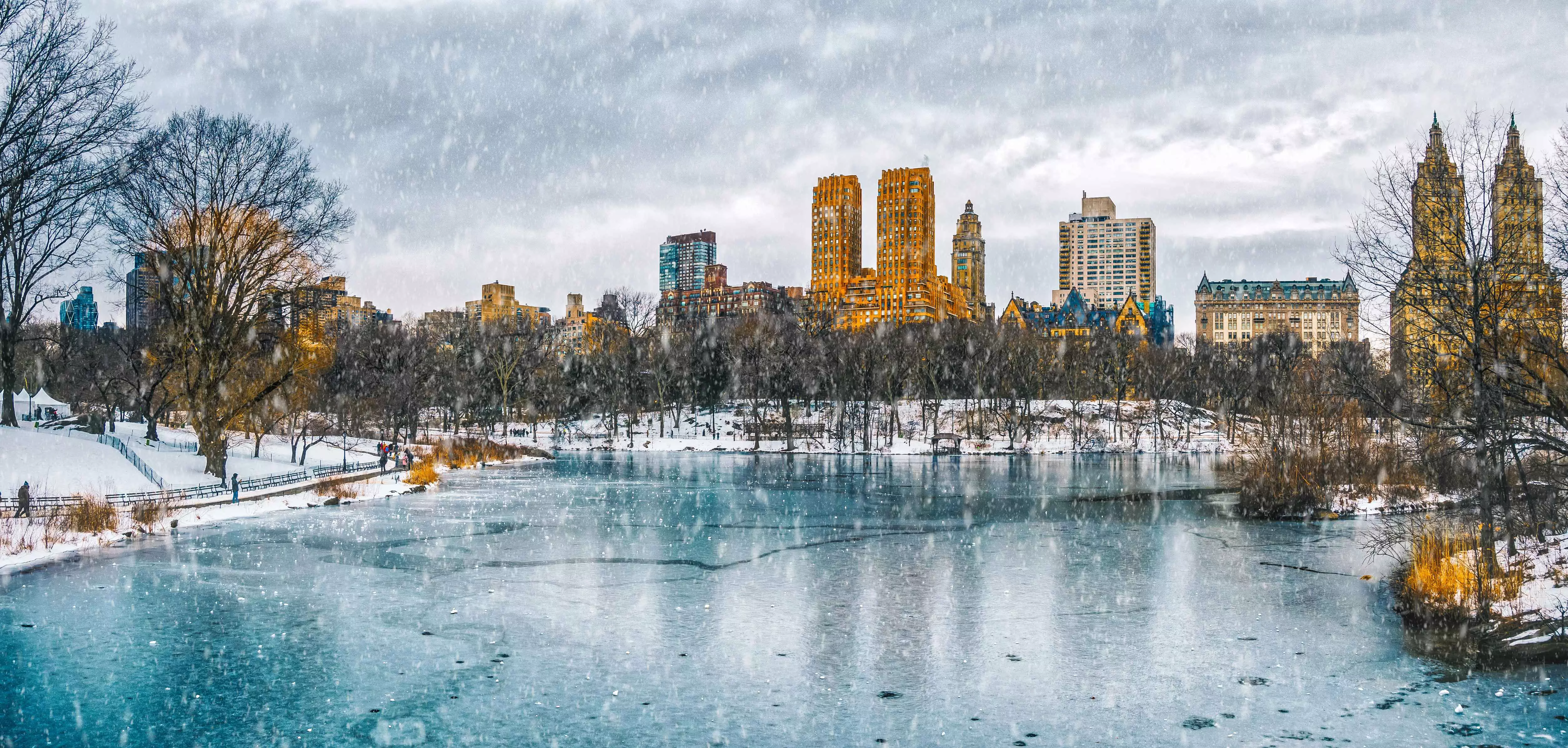 Central Park covered in snow during winter in New York City