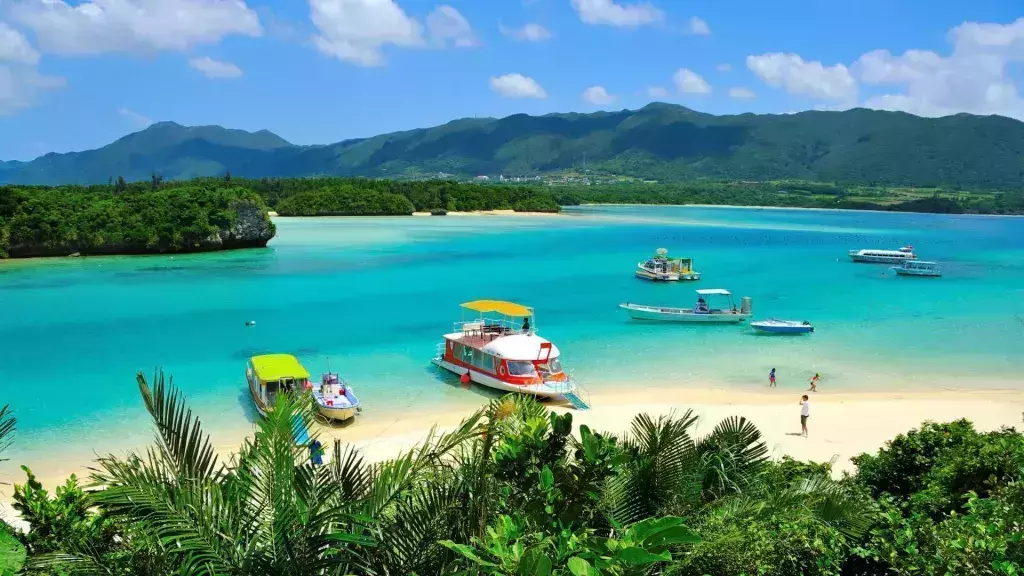 best value flight routes 2020