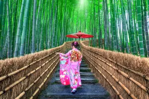 Our Pick of 7 Unmissable Spots in Kyoto
