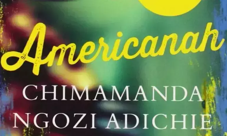Image result for Americanah - Chimamanda Ngozi Adichie