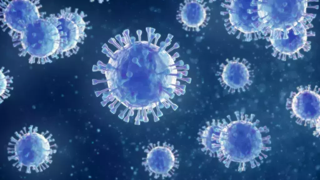 coronavirus cruise things to consider