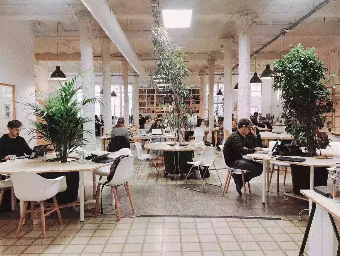 MOB Co-Working Spots