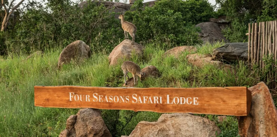 Beautiful African wildlife scenery at Four Seasons Safari Lodge Serengeti, Tanzania.