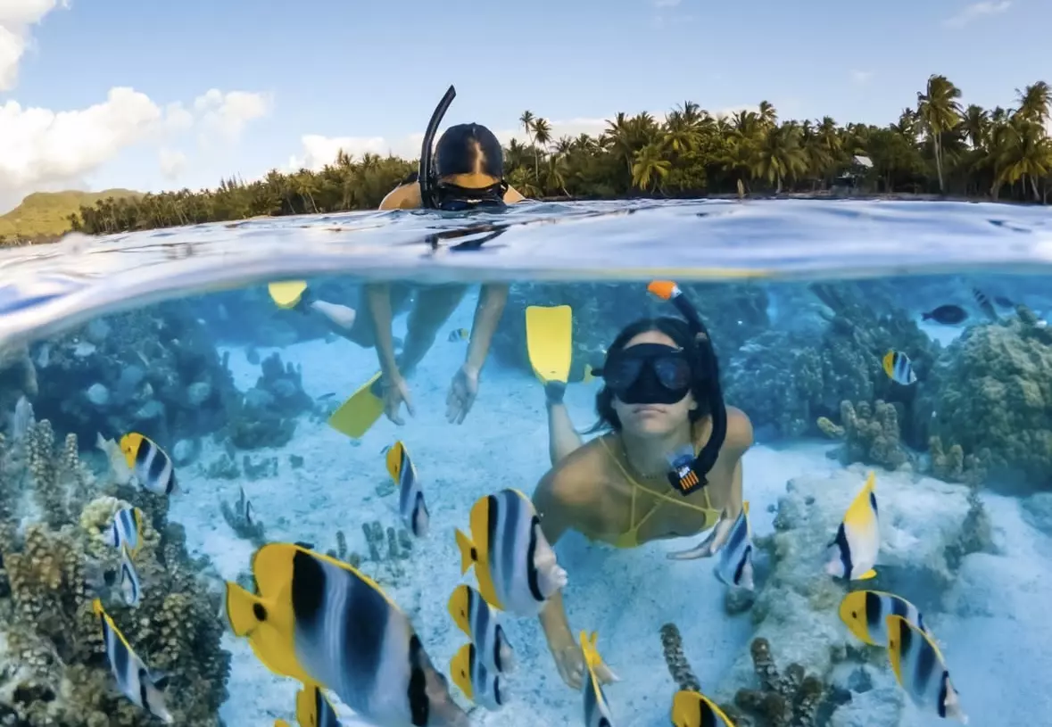 Snorkelling in the South Pacific outside Le Taha'a.