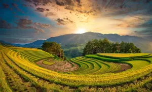 Hotel of the Day: Topas Ecolodge, Vietnam