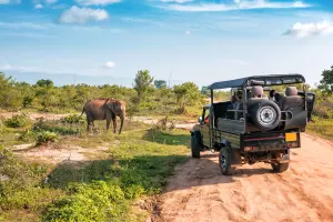 Hotel of the Day: Wild Coast Tented Lodge, Sri Lanka
