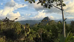 Hotel Review: Bosko, Guatape