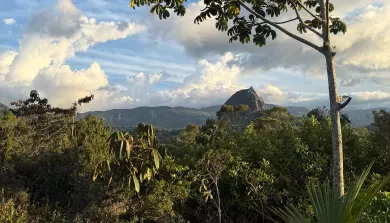 Hotel Review: Bosko, Guatape