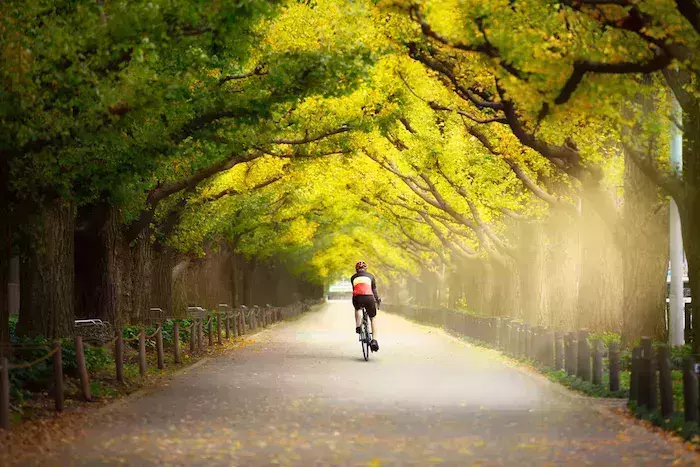 how to travel in Japan
