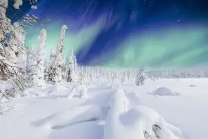 Lapland on a Budget: Where to Stay, Eat and Save