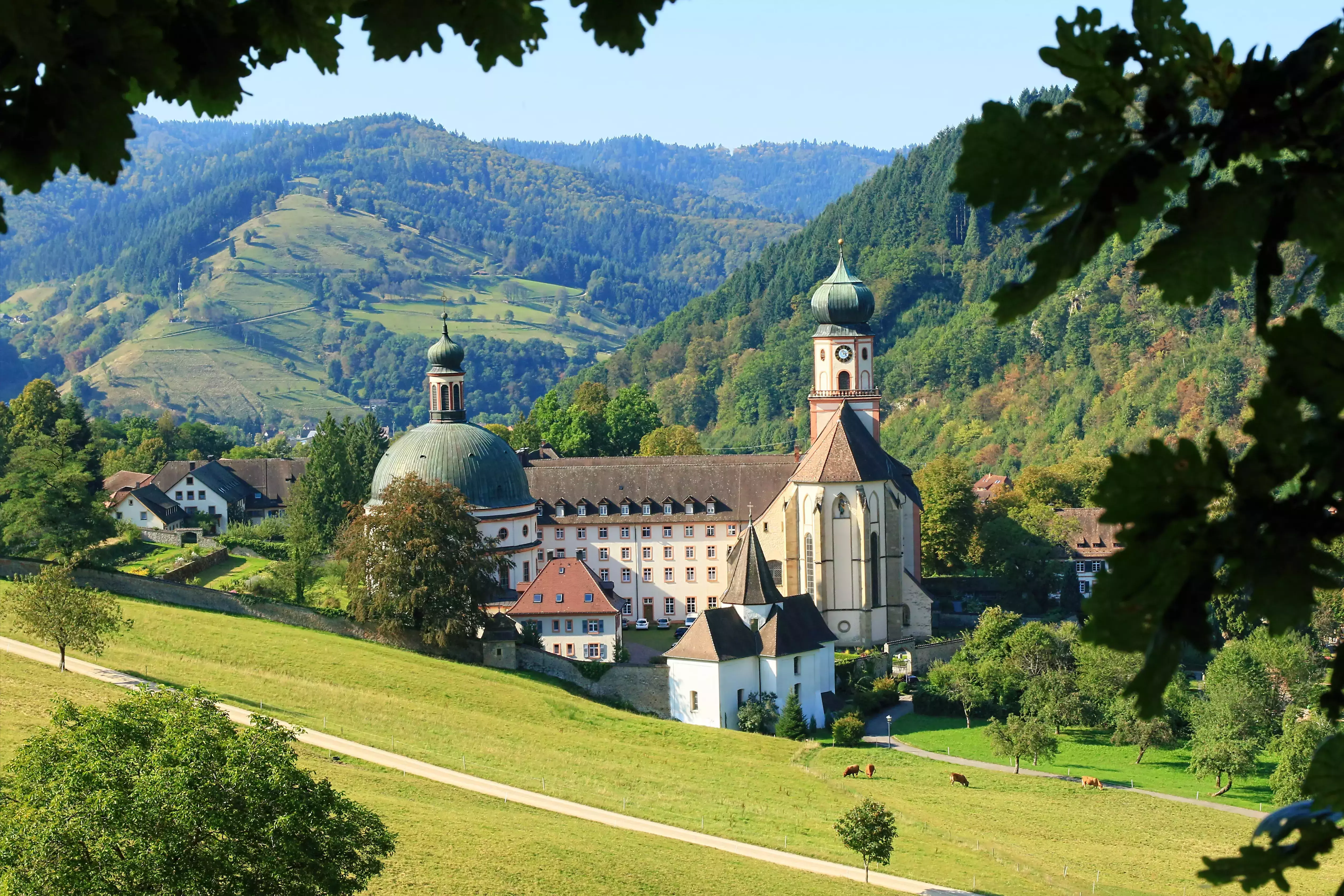 Castle in the Black Forest, Germany