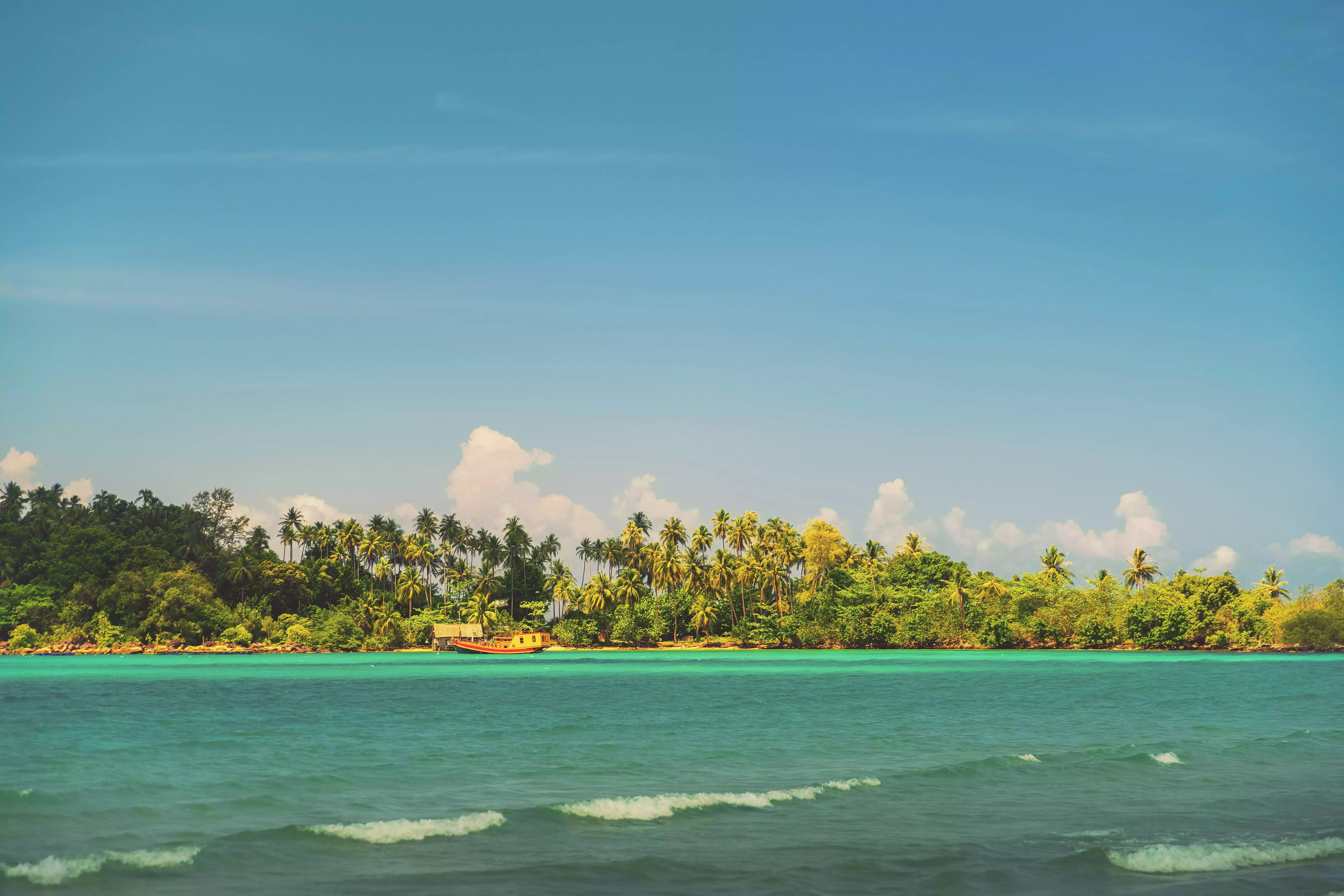 Caribbean Sea backed by lush palm trees in Jamaica