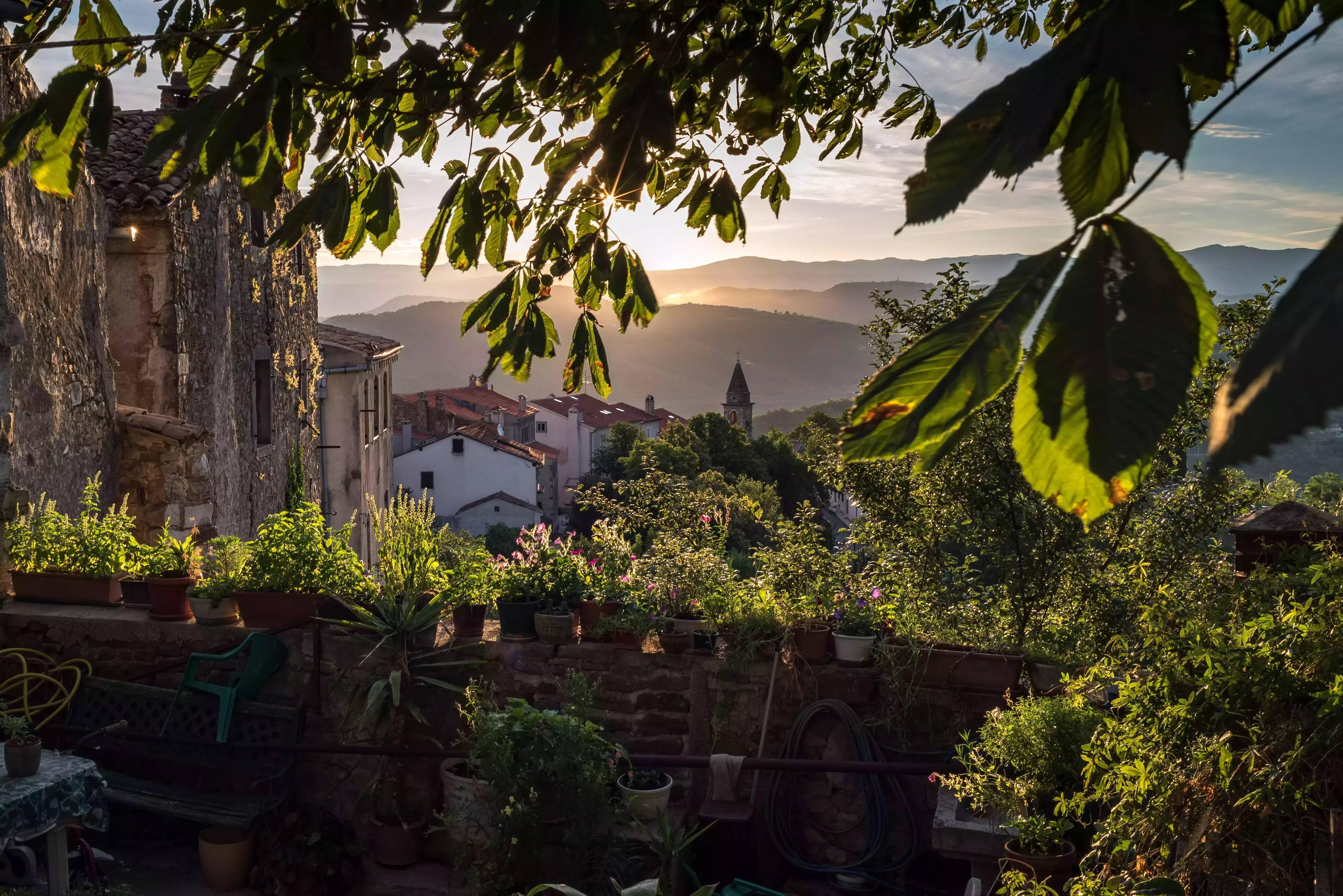 Traditional white and red house and the sun peaking through dark forest in Istria, Croatia