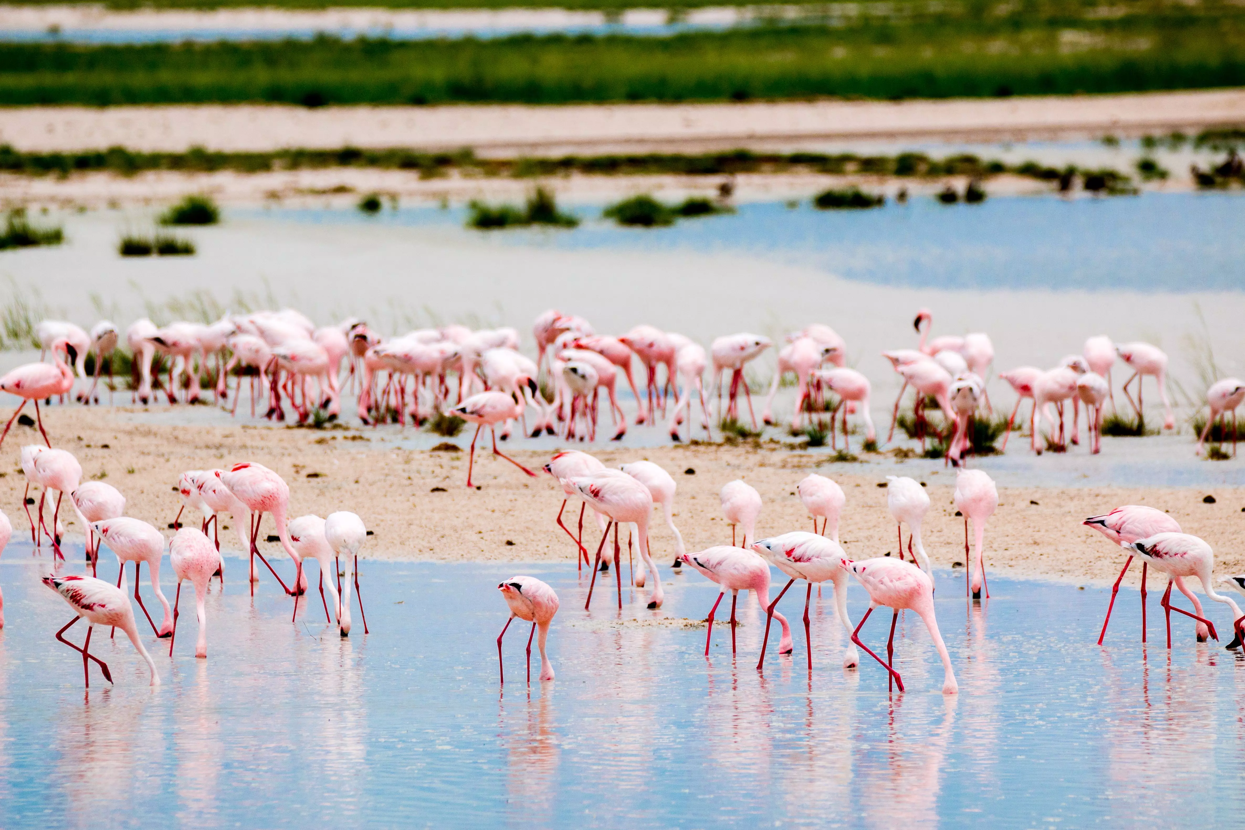 Etosha National Park, Namibia, offers fantastic birdwatching safari opportunities in the winter months.