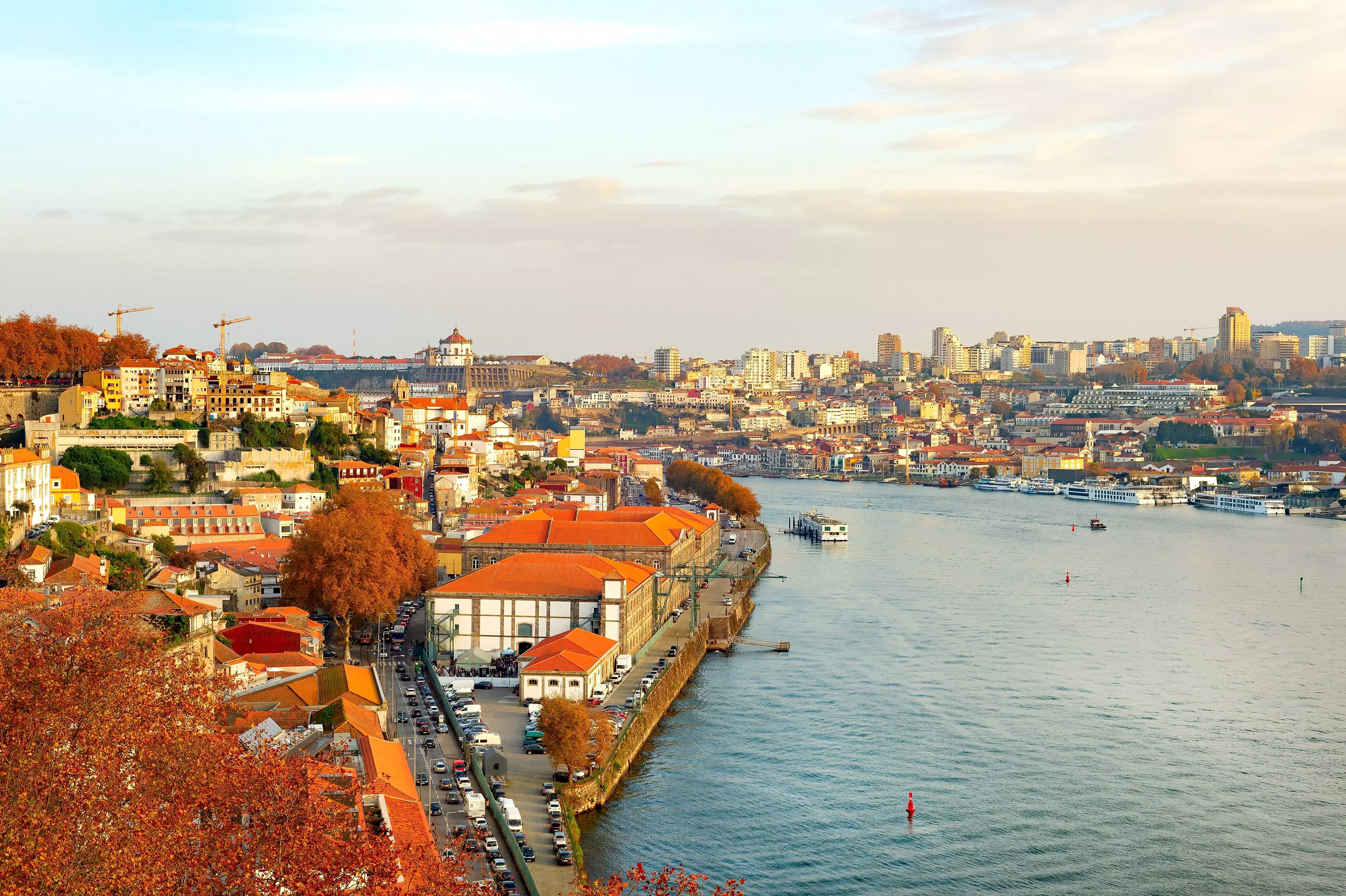 Explore the colours and peak harvest season in Porto this autumn.