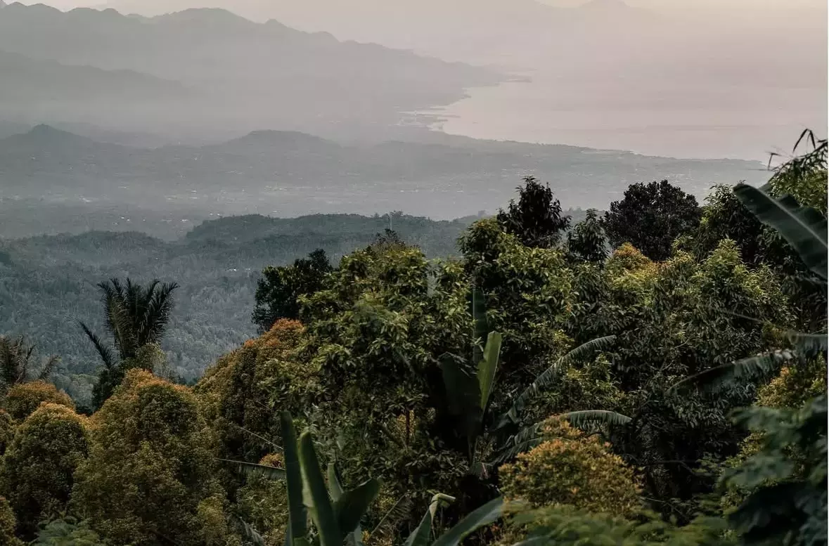 The quieter side of Bali is known for producing some of the finest coffee in Indonesia.