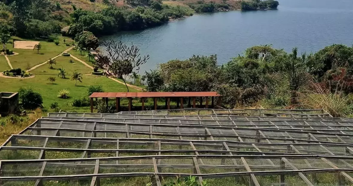 Warm hospitality and warmer coffee awaits you at Kinunu Guest House, Rwanda.