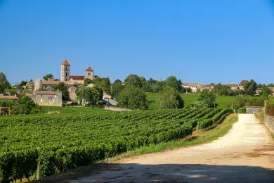 The 7 Best Hotels with Vineyards in France