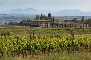The 7 Best Hotels with Vineyards in Spain
