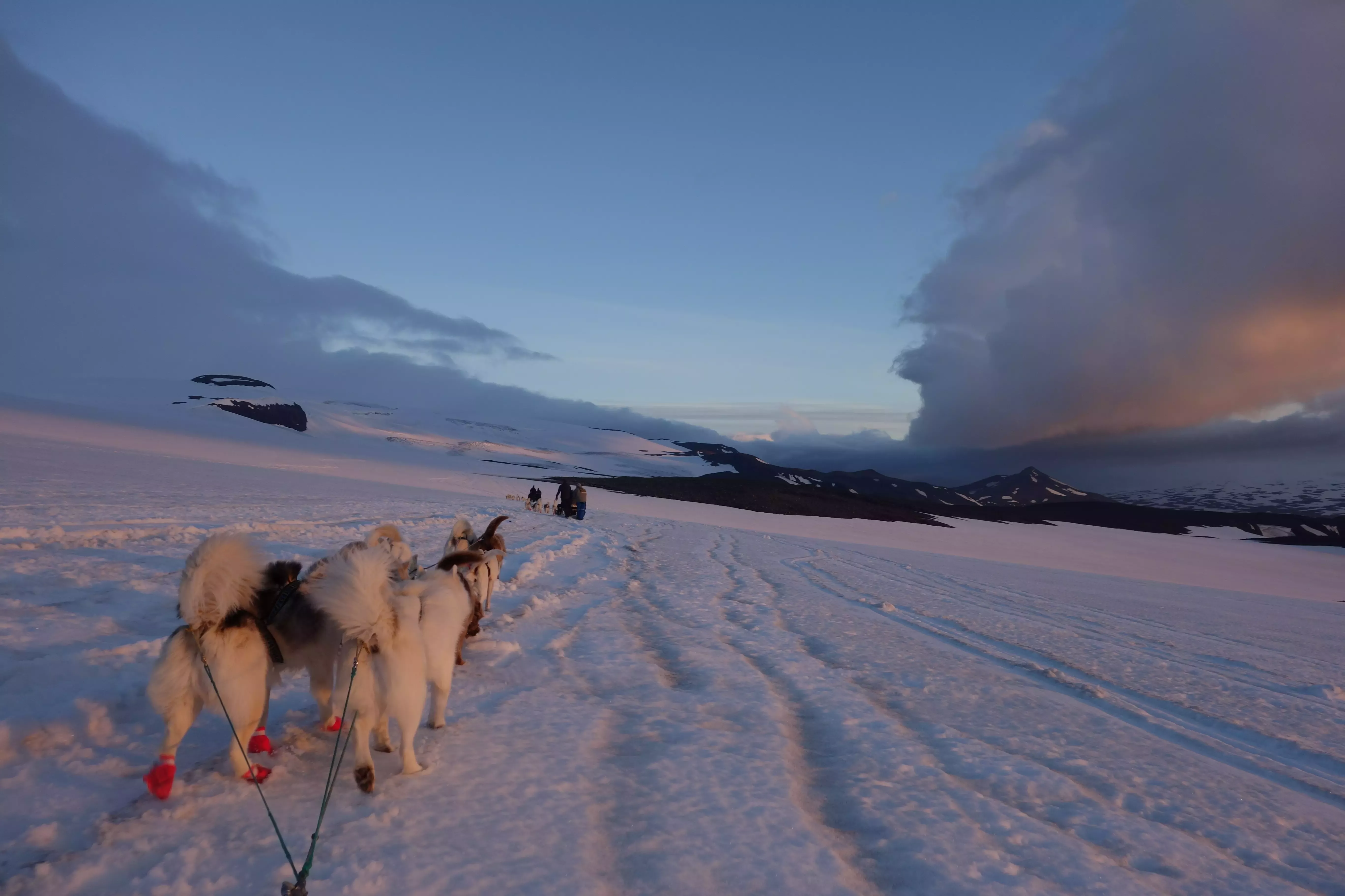 Remote and snowy Iceland is the perfect place for a dog sledding adventure this winter.