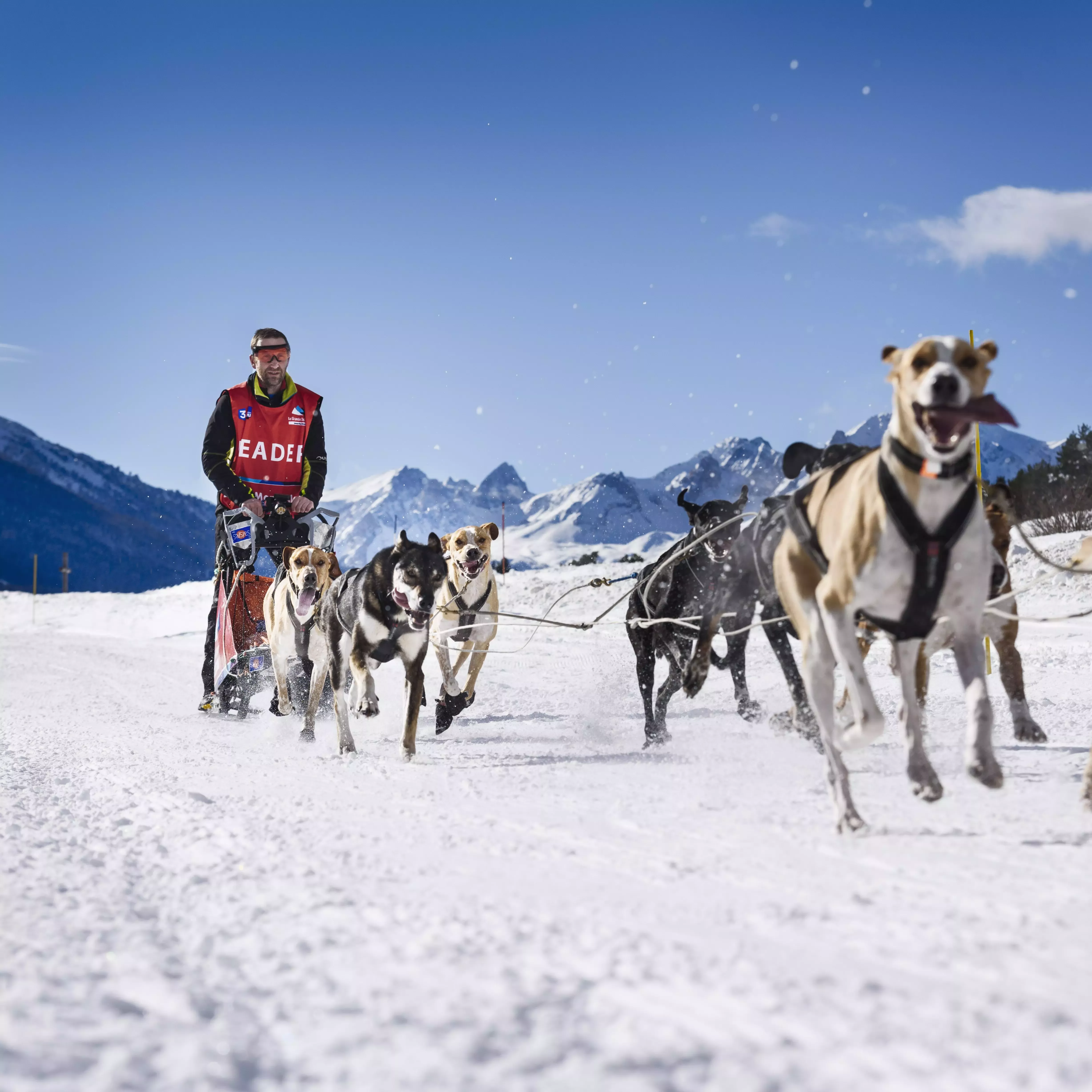 An exhilarating adventure through the French Alps via dog sled.