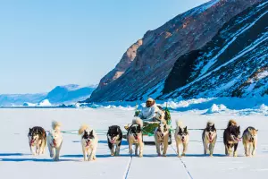 The 7 Best Places to Go Dog Sledding in Europe