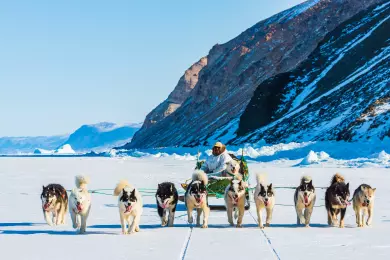 The 7 Best Places to Go Dog Sledding in Europe