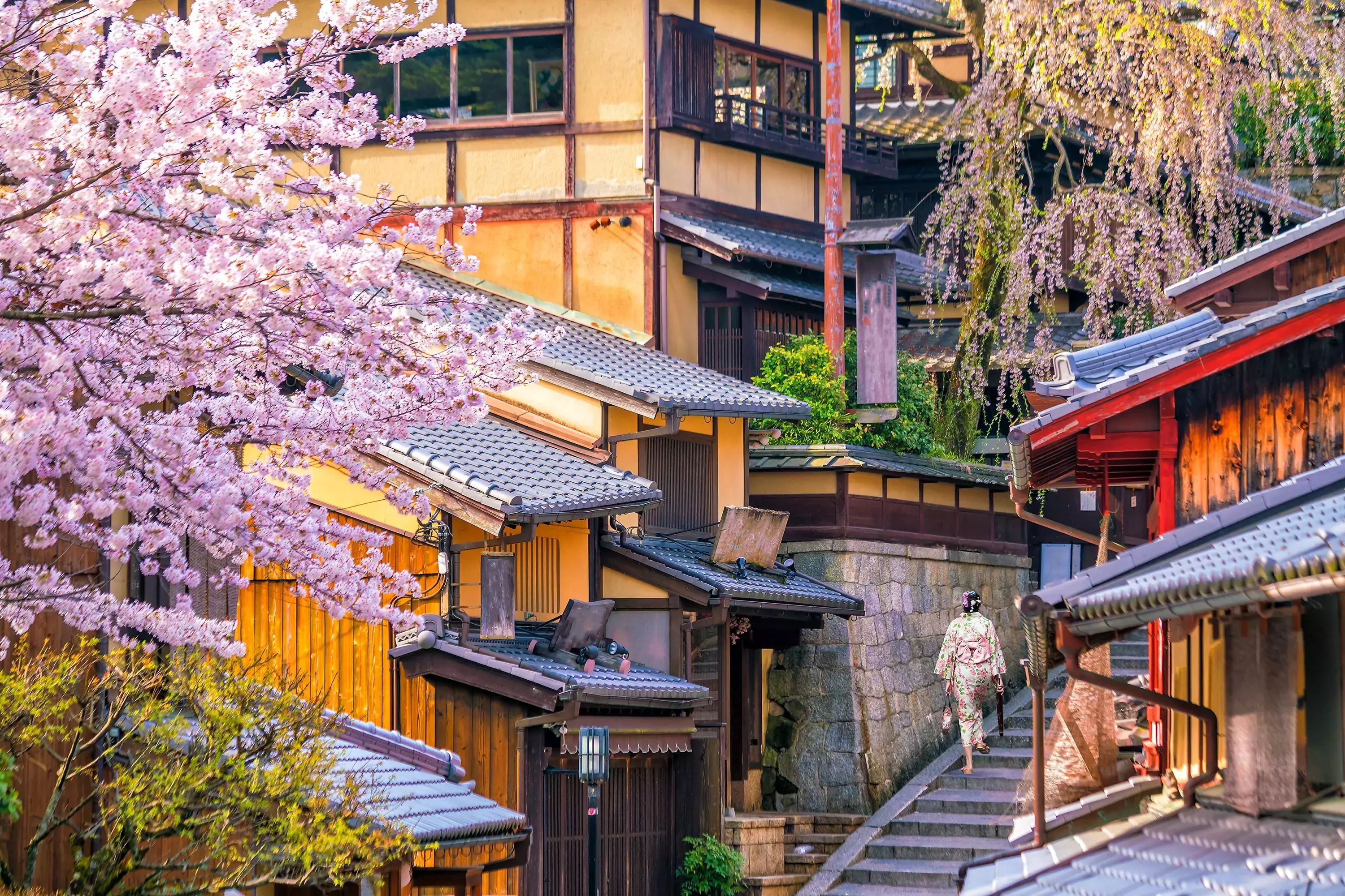 Old town Kyoto, the Higashiyama District during Sakura season in Kyoto, Japan