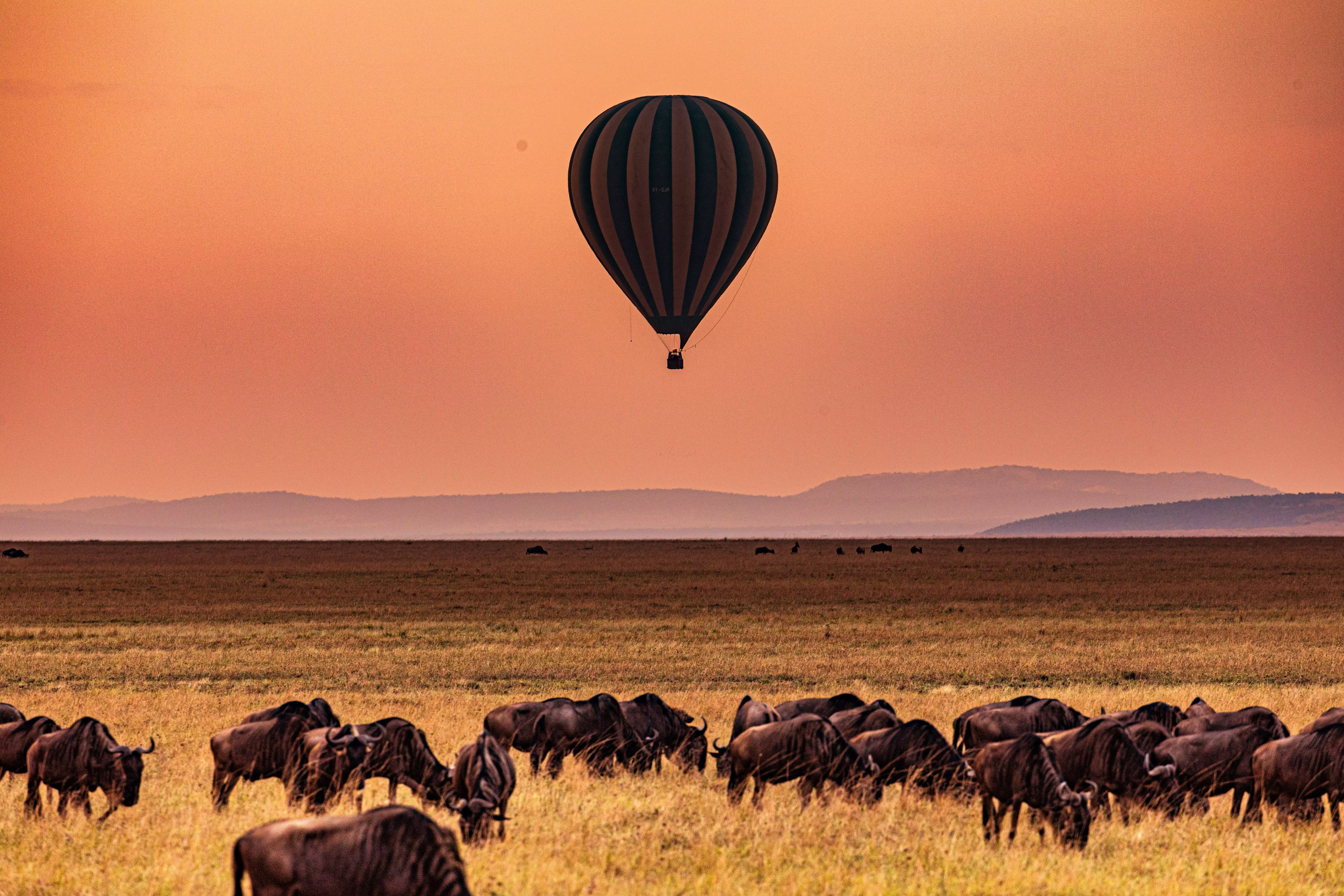 The stunning scenery of the Maasai Mara, Kenya.