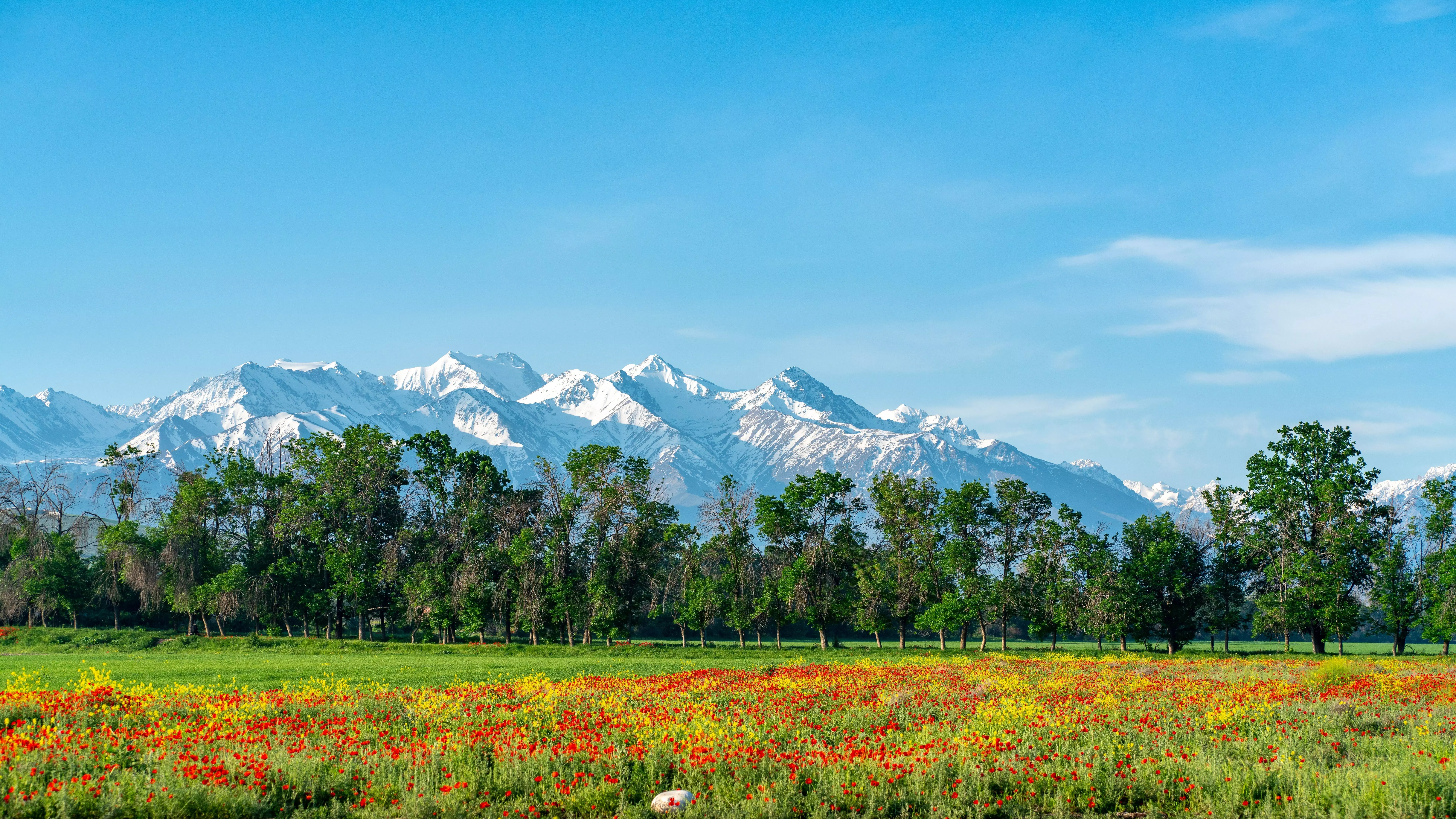 Bishkek is truly a destination for the adventurous.