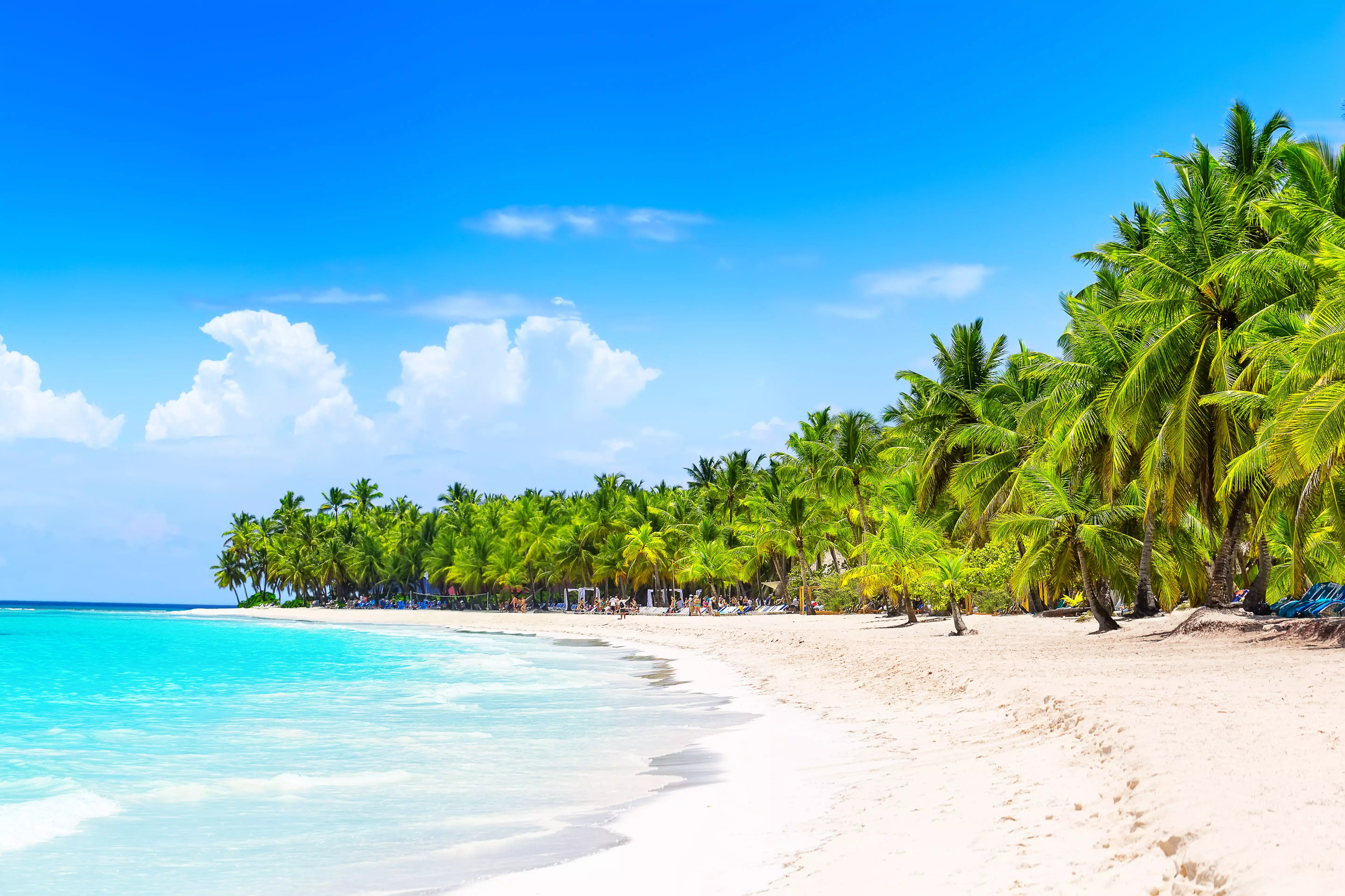Punta Cana, Dominican Republic, is one of the best spots for winter sun and whale watching in February.