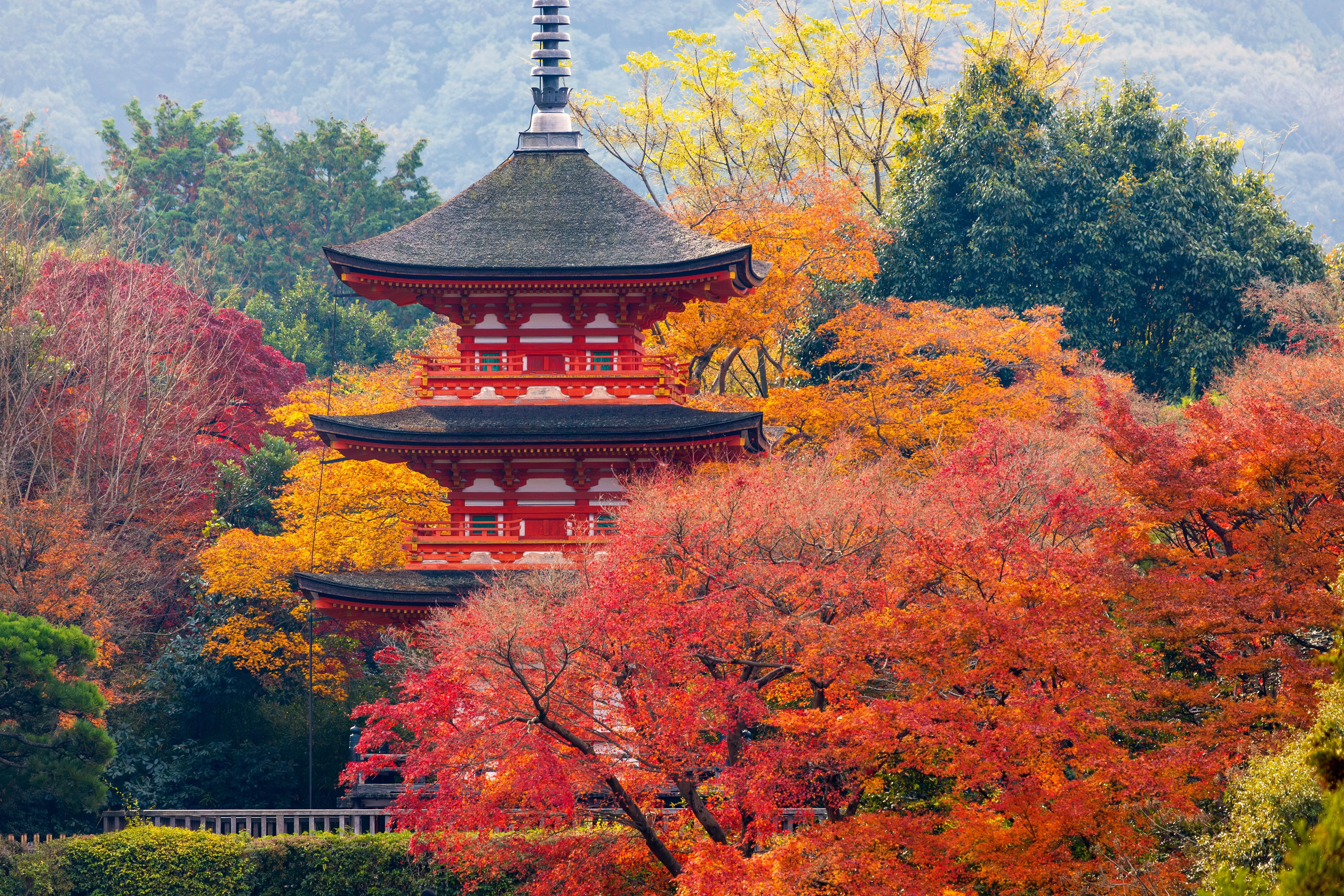 Kyoto in autumn is one of the best places to visit in autumn.