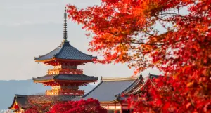 The 7 Best Places to Go in October 2026