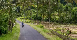The 7 Best Wellness Retreats in Bali