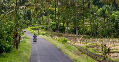 The 7 Best Wellness Retreats in Bali