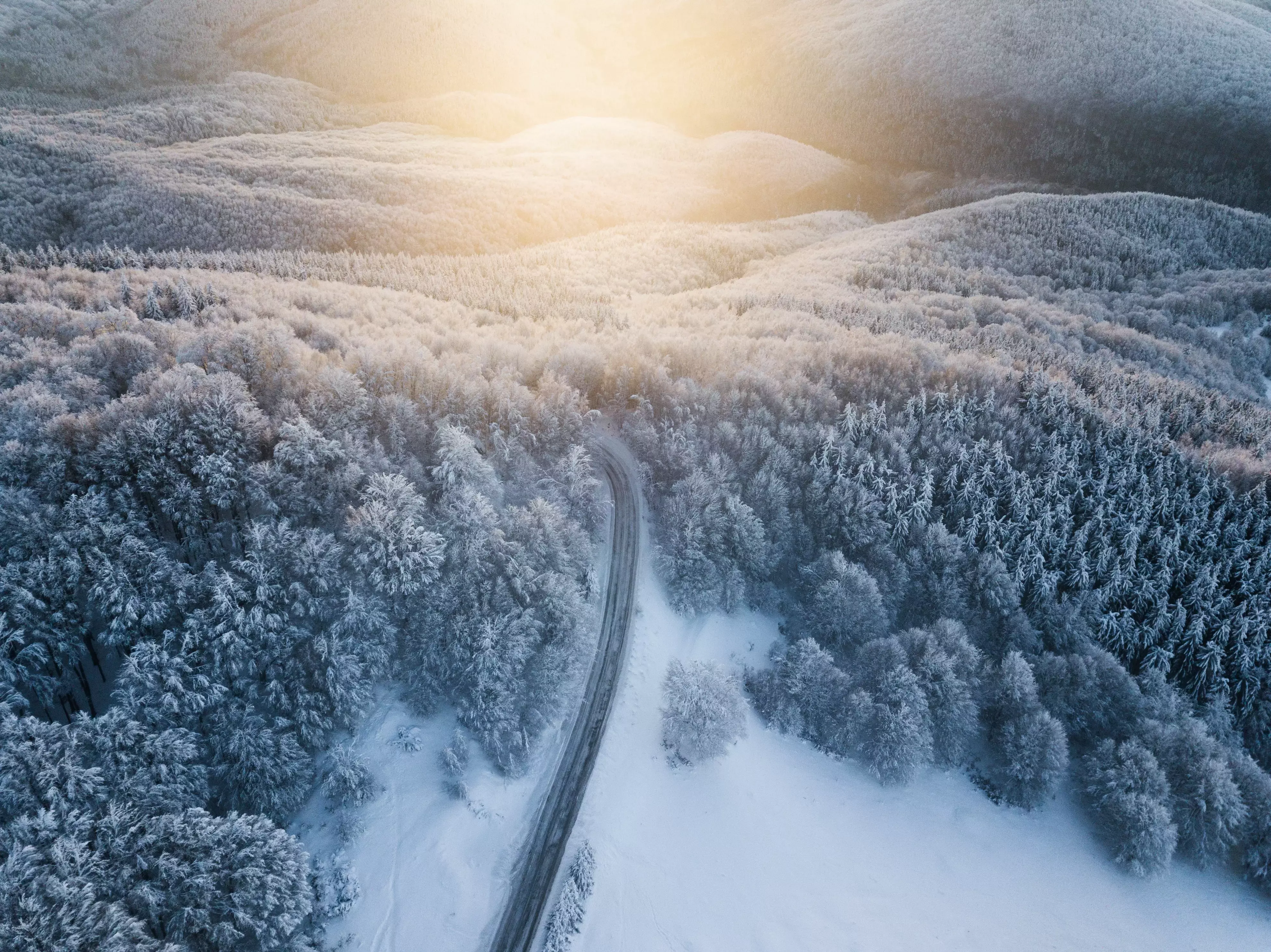 A Transylvania road trip is perfect for history and driving enthusiasts.