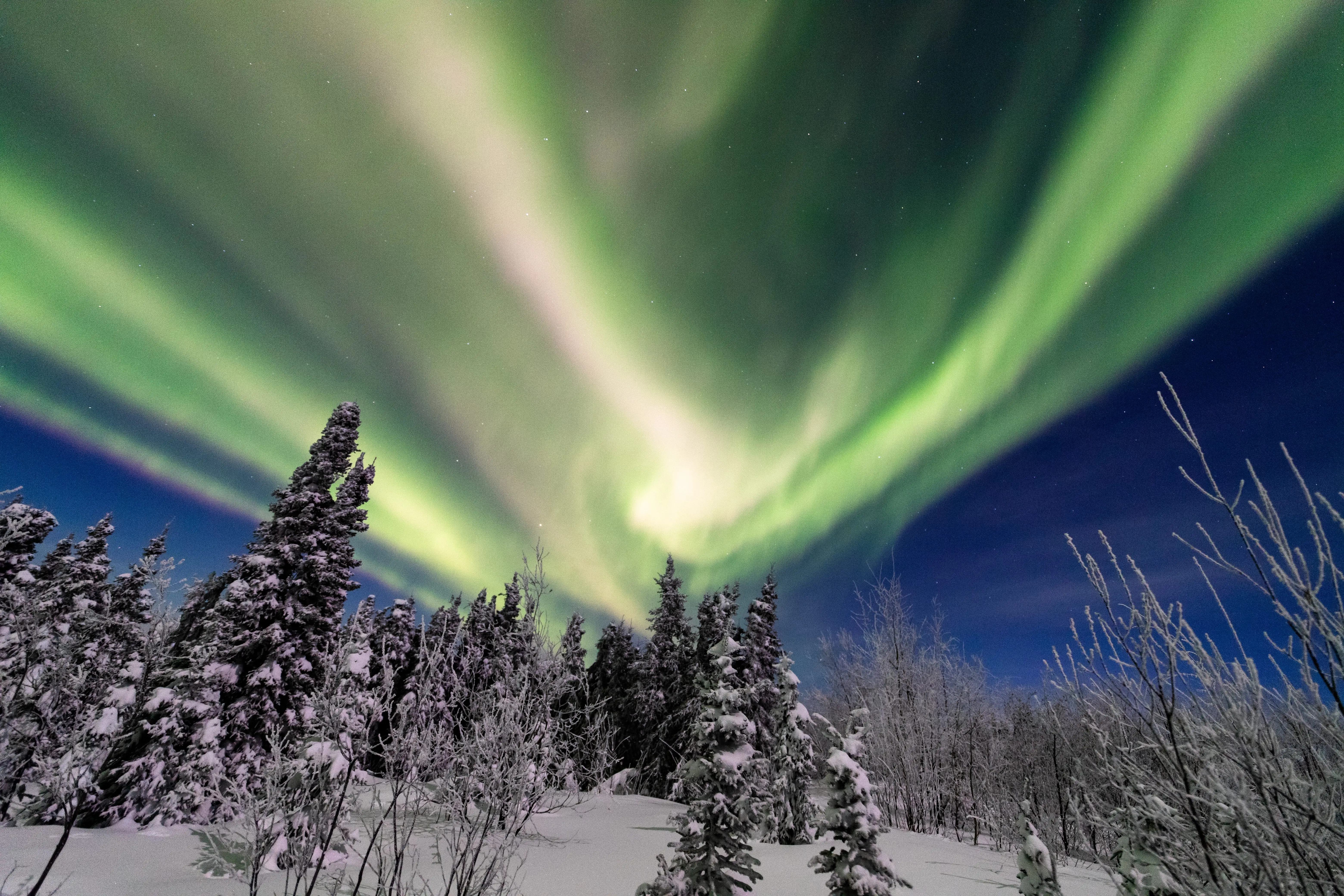 The drive from Anchorage to Fairbanks is one of Alaska's best road trips for Northern Lights viewing.