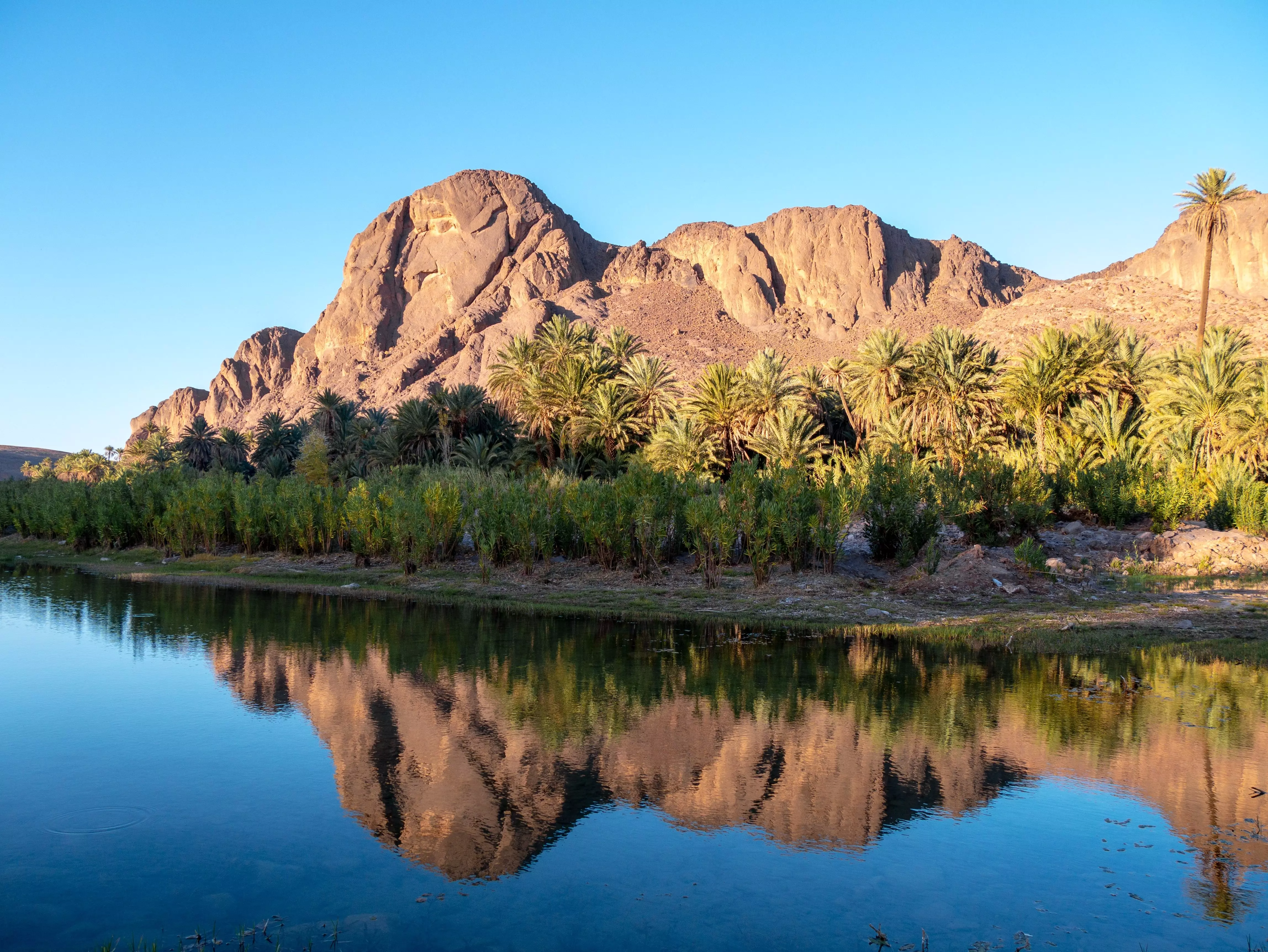 Fint Oasis is one of the lesser-known oases in Morocco.