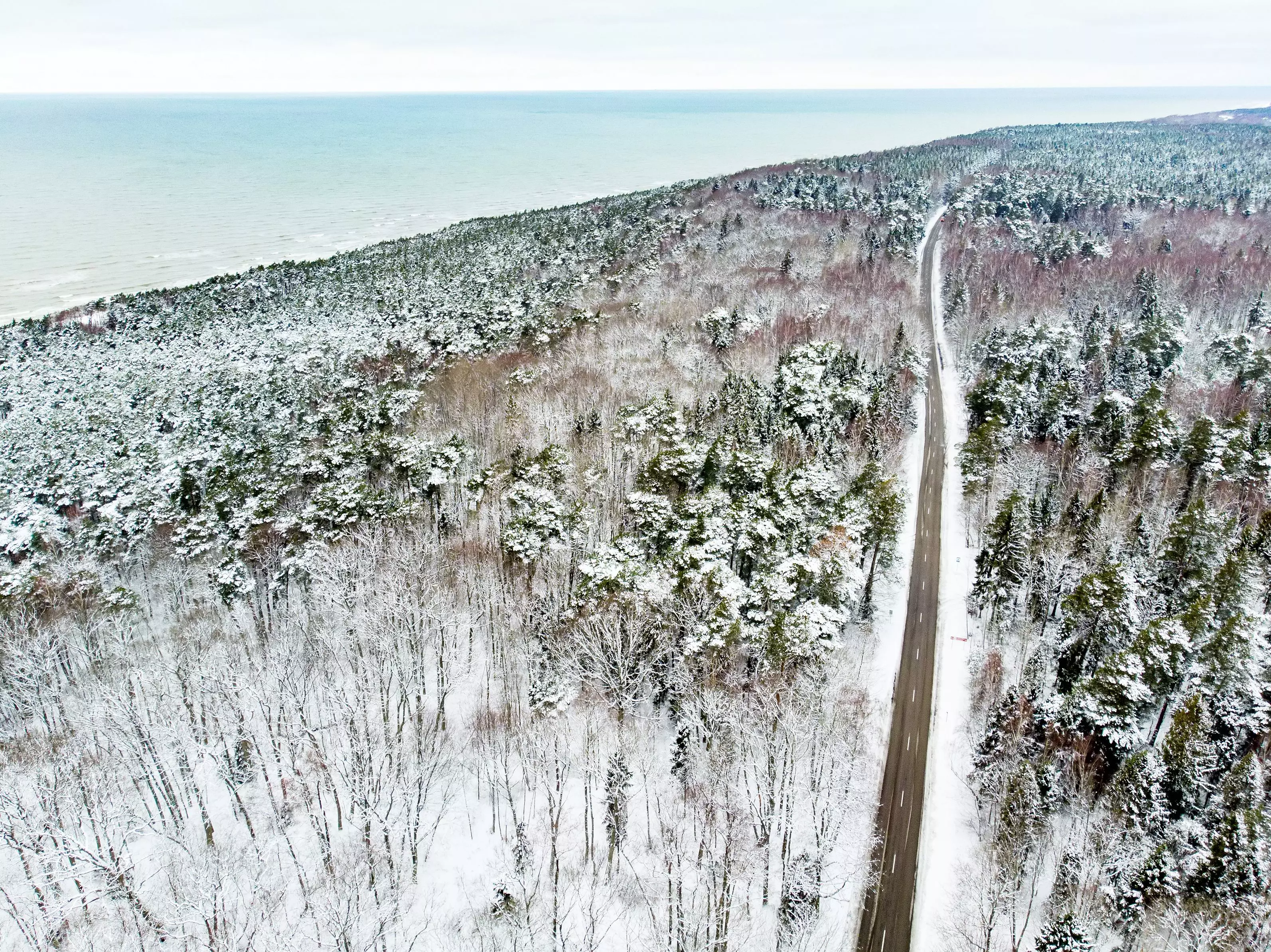 The Baltic States are emerging as European leaders in green road trip travel.