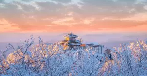 Things to Do in Seoul During Winter