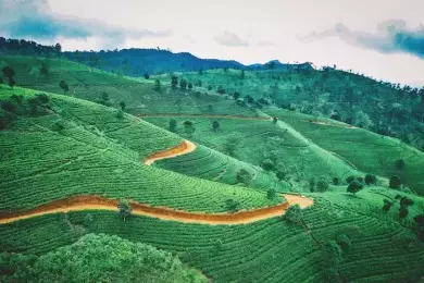 7 Interesting Facts About Sri Lanka