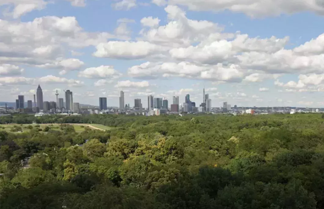 Frankfurt boasts the largest inner-city forest in Germany