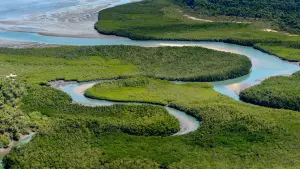 Why Guinea Deserves a Spot on Your Radar: 7 Interesting Facts