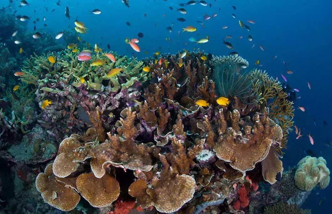 It&amp;amp;amp;amp;amp;amp;amp;amp;rsquo;s popular with scuba divers